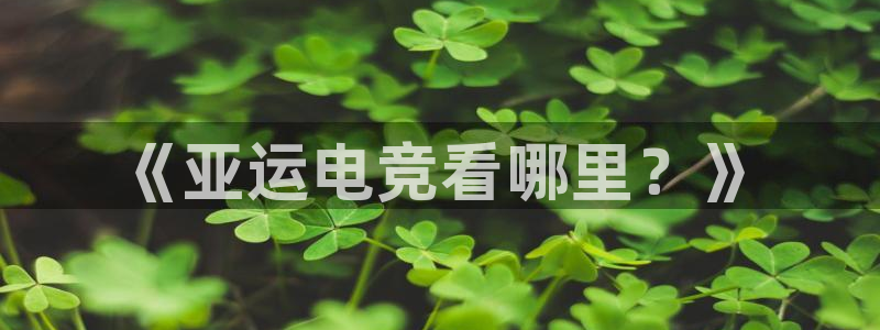 vkgame威客电竞：《亚运电竞看哪里？》