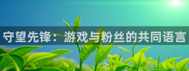 威客电竞：守望先锋：游戏与粉丝的共同语言