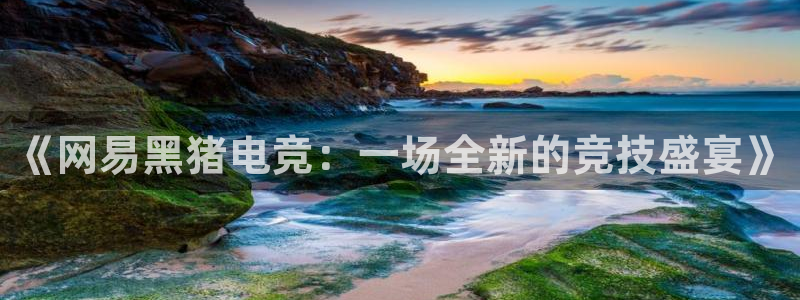 威客电竞官网下载：《网易黑猪电竞：一场全新的竞技盛宴》