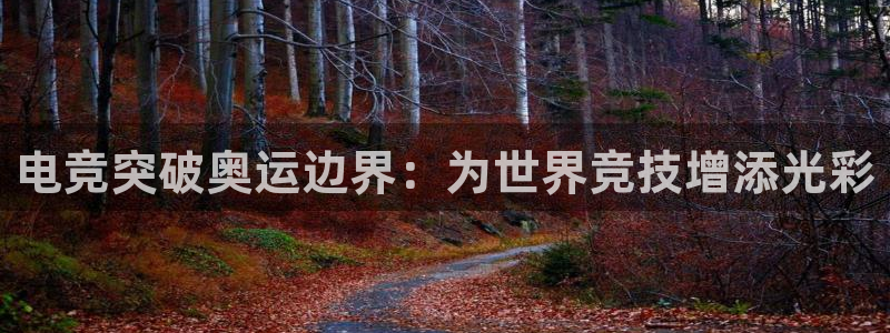 威客电竞客：电竞突破奥运边界：为世界竞技增添光彩
