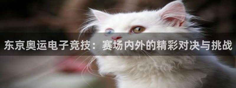 威客电竞VKGAME：东京奥运电子竞技：赛场内外的精彩对决与挑战