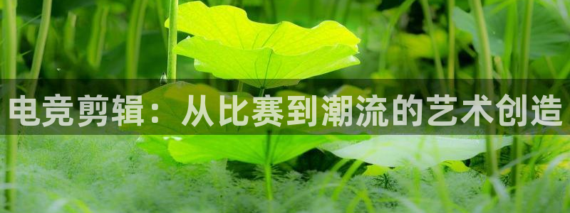 威客电竞：电竞剪辑：从比赛到潮流的艺术创造