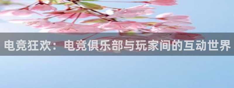 vk威客电竞：电竞狂欢：电竞俱乐部与玩家间的互动世界