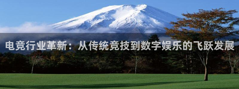 威客电竞官网登录入口：电竞行业革新：从传统竞技到数字娱乐的飞跃发展
