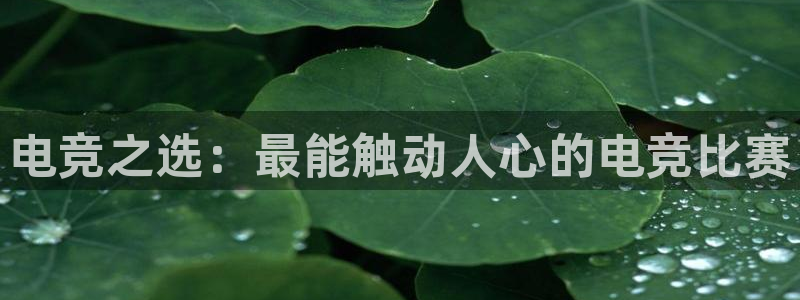 威客电竞·(中国)VKGAMING：电竞之选：最能触动人心的电竞比赛