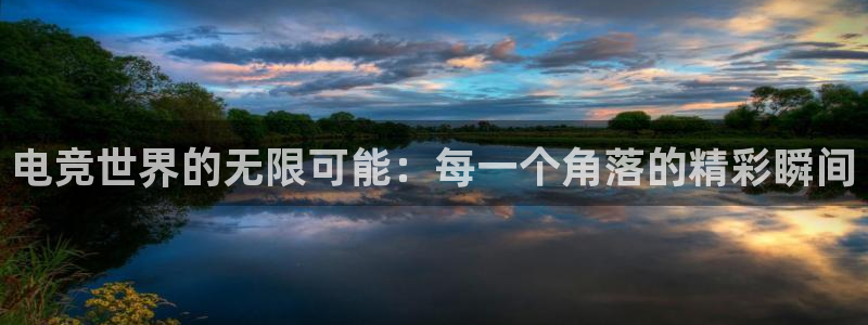 威客电竞：电竞世界的无限可能：每一个角落的精彩瞬间